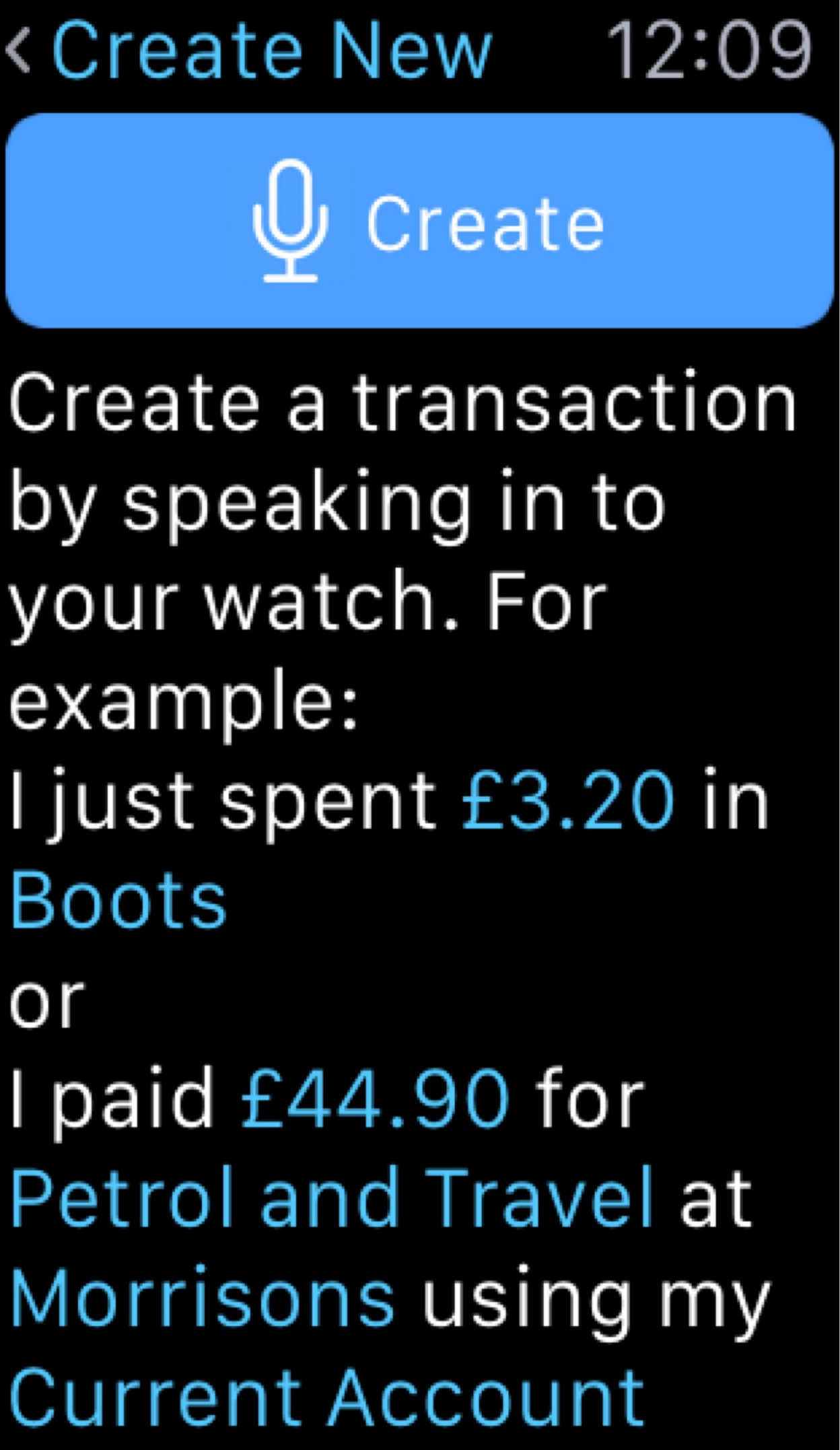 The Budgeted watchOS app showing the user how to create a transaction using their voice with example customised based on their data.