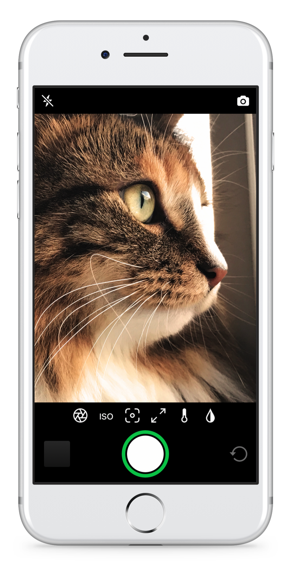 Introducing Iris - Pro Camera Control for iOS