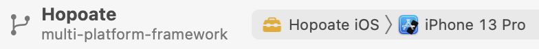 The build bar still showing Hopoate iOS.